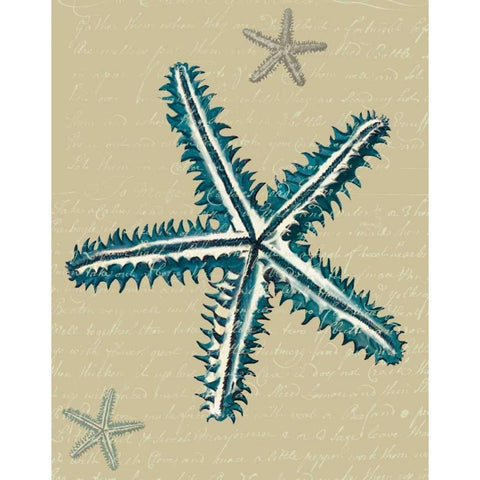 Blue Starfish on Taupe a Black Modern Wood Framed Art Print with Double Matting by Fab Funky