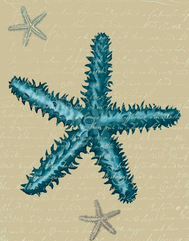 Blue Starfish on Taupe b White Modern Wood Framed Art Print with Double Matting by Fab Funky