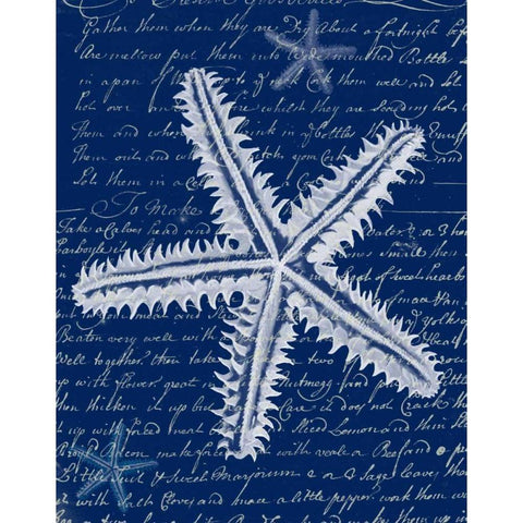 White Starfish on Blue a Black Modern Wood Framed Art Print with Double Matting by Fab Funky