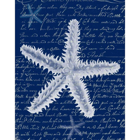 White Starfish on Blue b Black Modern Wood Framed Art Print with Double Matting by Fab Funky