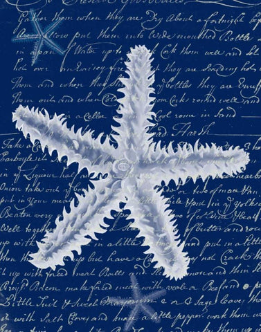 White Starfish on Blue b Black Ornate Wood Framed Art Print with Double Matting by Fab Funky