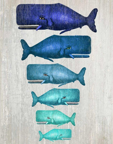 Whale Family Blue On White Black Ornate Wood Framed Art Print with Double Matting by Fab Funky