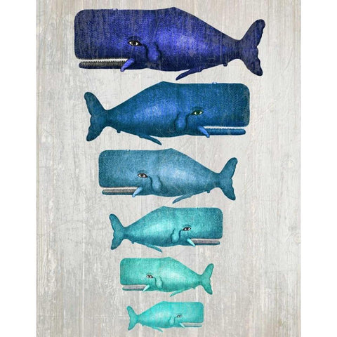 Whale Family Blue On White Black Modern Wood Framed Art Print with Double Matting by Fab Funky