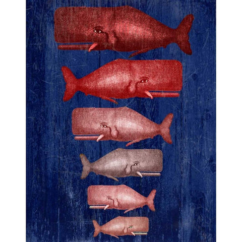 Whale Family Red On Blue Gold Ornate Wood Framed Art Print with Double Matting by Fab Funky