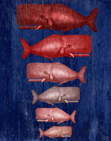 Whale Family Red On Blue Black Ornate Wood Framed Art Print with Double Matting by Fab Funky