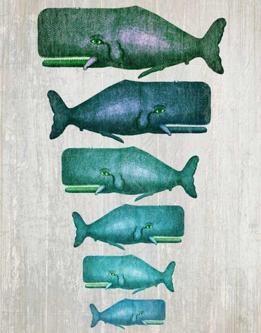 Whale Family Green on White Black Ornate Wood Framed Art Print with Double Matting by Fab Funky