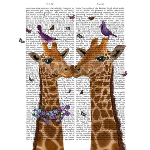 Kissing Giraffes with Birds Gold Ornate Wood Framed Art Print with Double Matting by Fab Funky