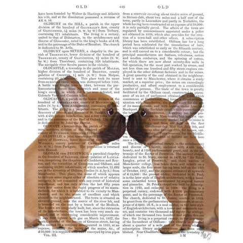 French Kiss Close Up Black Modern Wood Framed Art Print with Double Matting by Fab Funky