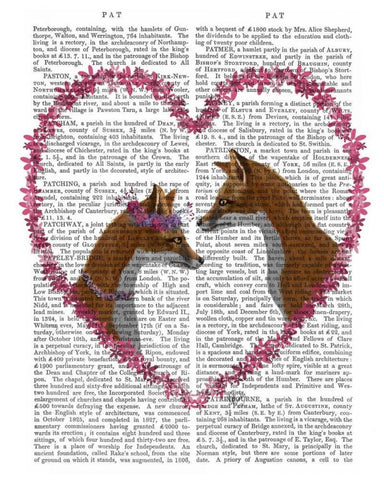 Foxes in Pink Heart Black Ornate Wood Framed Art Print with Double Matting by Fab Funky