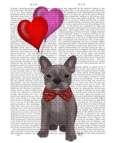 French Bulldog and Balloons Black Ornate Wood Framed Art Print with Double Matting by Fab Funky