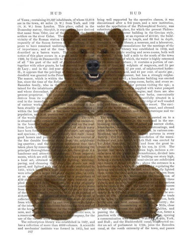 Bear and Hand Heart Black Ornate Wood Framed Art Print with Double Matting by Fab Funky