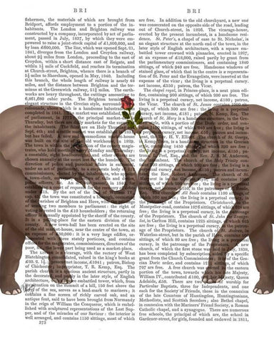 Elephants Heart and Rose Black Ornate Wood Framed Art Print with Double Matting by Fab Funky