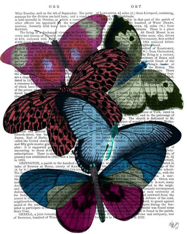 Big Bold Butterflies 1 White Modern Wood Framed Art Print with Double Matting by Fab Funky