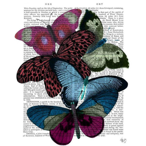 Big Bold Butterflies 1 Gold Ornate Wood Framed Art Print with Double Matting by Fab Funky