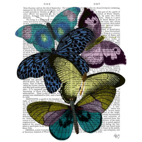 Big Bold Butterflies 2 Black Modern Wood Framed Art Print with Double Matting by Fab Funky