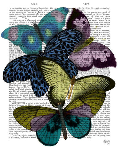 Big Bold Butterflies 2 Black Ornate Wood Framed Art Print with Double Matting by Fab Funky