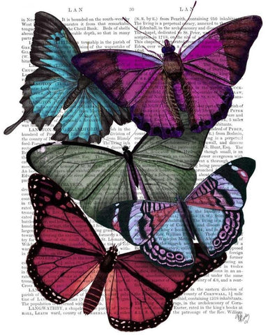 Big Bold Butterflies 3 White Modern Wood Framed Art Print with Double Matting by Fab Funky