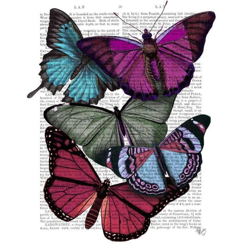 Big Bold Butterflies 3 Black Modern Wood Framed Art Print with Double Matting by Fab Funky