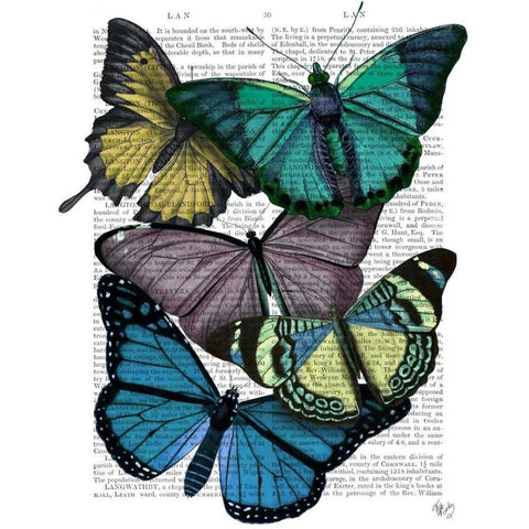 Big Bold Butterflies 4 Gold Ornate Wood Framed Art Print with Double Matting by Fab Funky