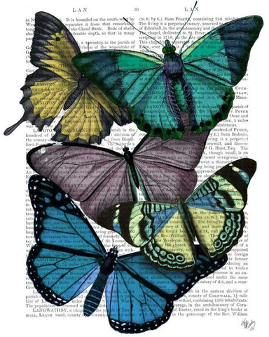 Big Bold Butterflies 4 White Modern Wood Framed Art Print with Double Matting by Fab Funky