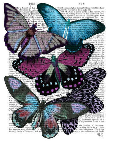 Big Bold Butterflies 5 Black Ornate Wood Framed Art Print with Double Matting by Fab Funky