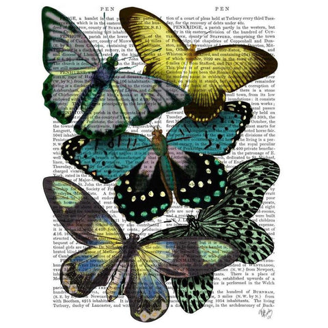 Big Bold Butterflies 6 Black Modern Wood Framed Art Print with Double Matting by Fab Funky