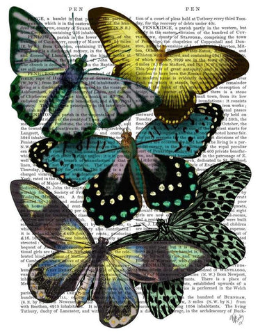 Big Bold Butterflies 6 White Modern Wood Framed Art Print with Double Matting by Fab Funky