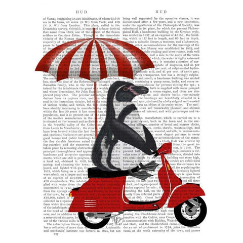 Penguin On Red Moped Black Modern Wood Framed Art Print with Double Matting by Fab Funky