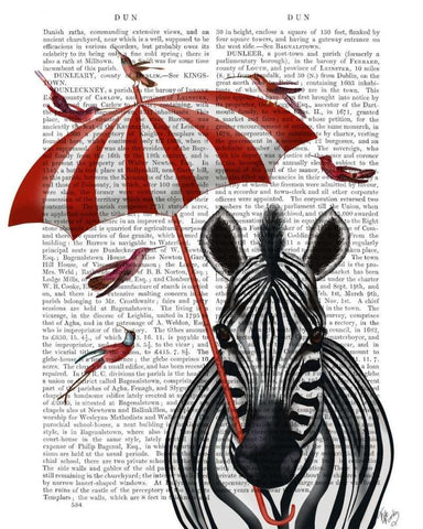 Zebra with Umbrella 2, Forward White Modern Wood Framed Art Print with Double Matting by Fab Funky