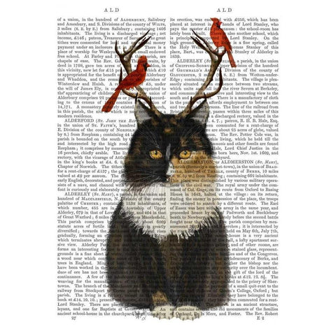 Tortoiseshell Cat, Antlers and Red Birds White Modern Wood Framed Art Print by Fab Funky