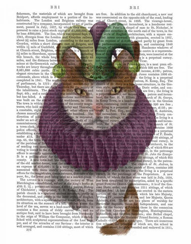 Cat, White with Jester Hat Black Ornate Wood Framed Art Print with Double Matting by Fab Funky