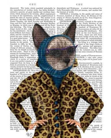 Cat with Leopard Jacket Black Ornate Wood Framed Art Print with Double Matting by Fab Funky