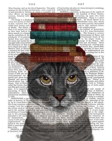 Grey Cat with Books on Head Black Ornate Wood Framed Art Print with Double Matting by Fab Funky