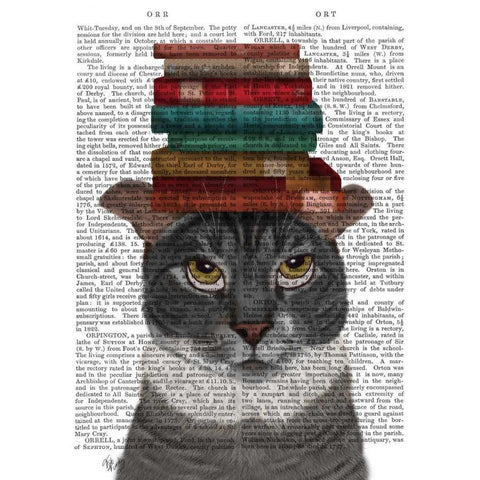 Grey Cat with Books on Head Gold Ornate Wood Framed Art Print with Double Matting by Fab Funky