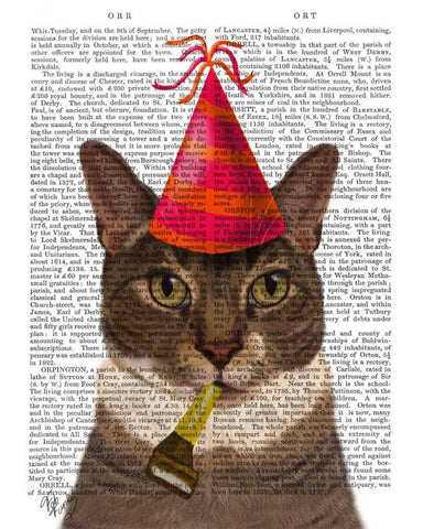 Tortoiseshell Cat, Party Hat Black Ornate Wood Framed Art Print with Double Matting by Fab Funky