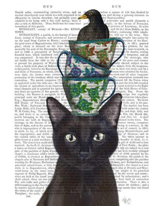 Image Only