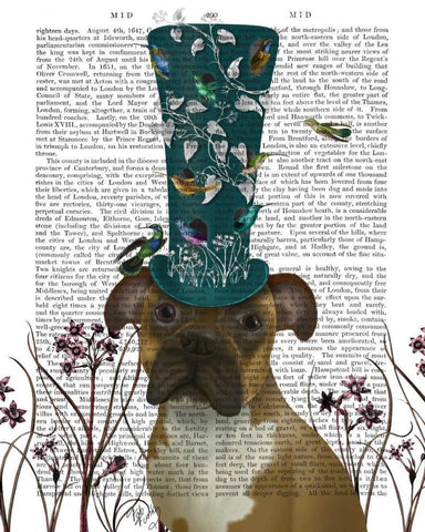 Boxer and Bird Hat White Modern Wood Framed Art Print with Double Matting by Fab Funky