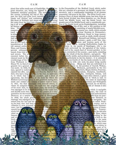 Boxer and Owls White Modern Wood Framed Art Print with Double Matting by Fab Funky