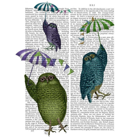 Owls with Umbrellas Black Modern Wood Framed Art Print with Double Matting by Fab Funky