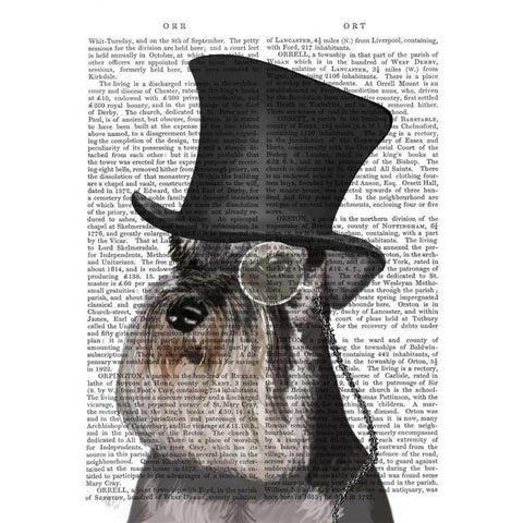 Schnauzer, Formal Hound and Hat Gold Ornate Wood Framed Art Print with Double Matting by Fab Funky