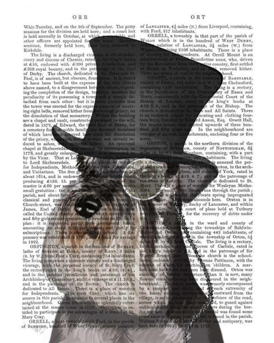 Schnauzer, Formal Hound and Hat White Modern Wood Framed Art Print with Double Matting by Fab Funky