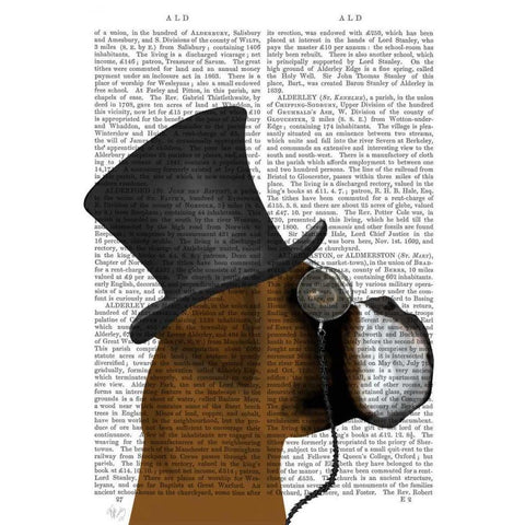 Boxer, Formal Hound and Hat Black Modern Wood Framed Art Print with Double Matting by Fab Funky