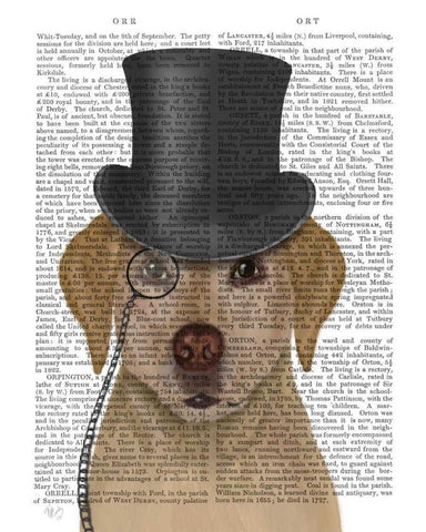 Yellow Labrador, Formal Hound and Hat White Modern Wood Framed Art Print with Double Matting by Fab Funky