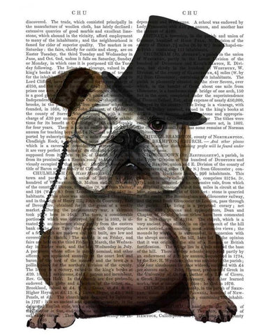 English Bulldog, Formal Hound and Hat White Modern Wood Framed Art Print with Double Matting by Fab Funky