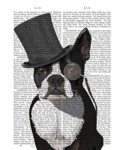 Boston Terrier, Formal Hound and Hat White Modern Wood Framed Art Print with Double Matting by Fab Funky