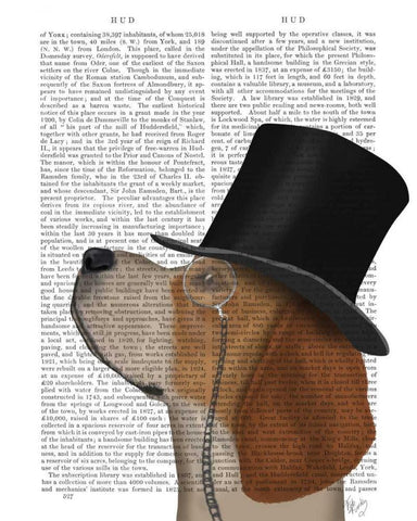 Beagle, Formal Hound and Hat Black Ornate Wood Framed Art Print with Double Matting by Fab Funky