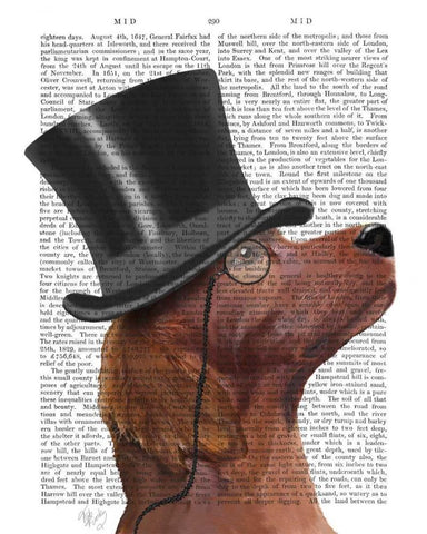 Red Setter, Formal Hound and Hat Black Ornate Wood Framed Art Print with Double Matting by Fab Funky