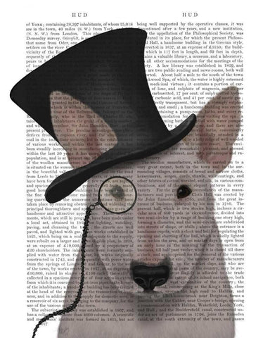 Bull Terrier, Formal Hound and Hat Black Ornate Wood Framed Art Print with Double Matting by Fab Funky