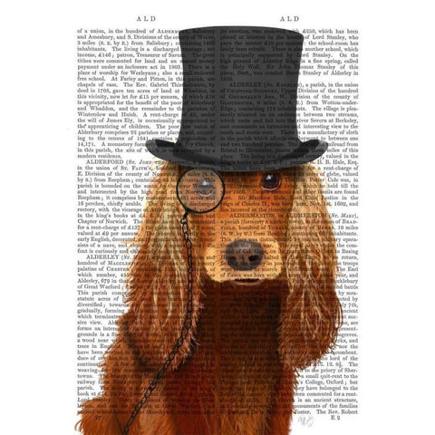 Cocker Spaniel, Formal Hound and Hat White Modern Wood Framed Art Print by Fab Funky