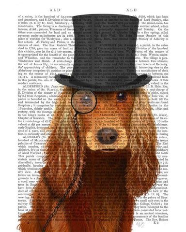 Cocker Spaniel, Formal Hound and Hat White Modern Wood Framed Art Print with Double Matting by Fab Funky